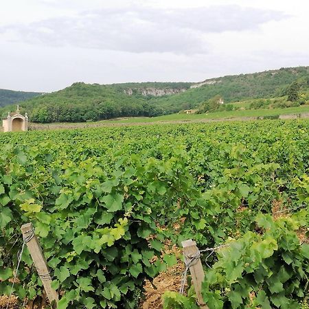 Gite Hautes Cotes De Nuits Curtil-Vergy Bagian luar foto