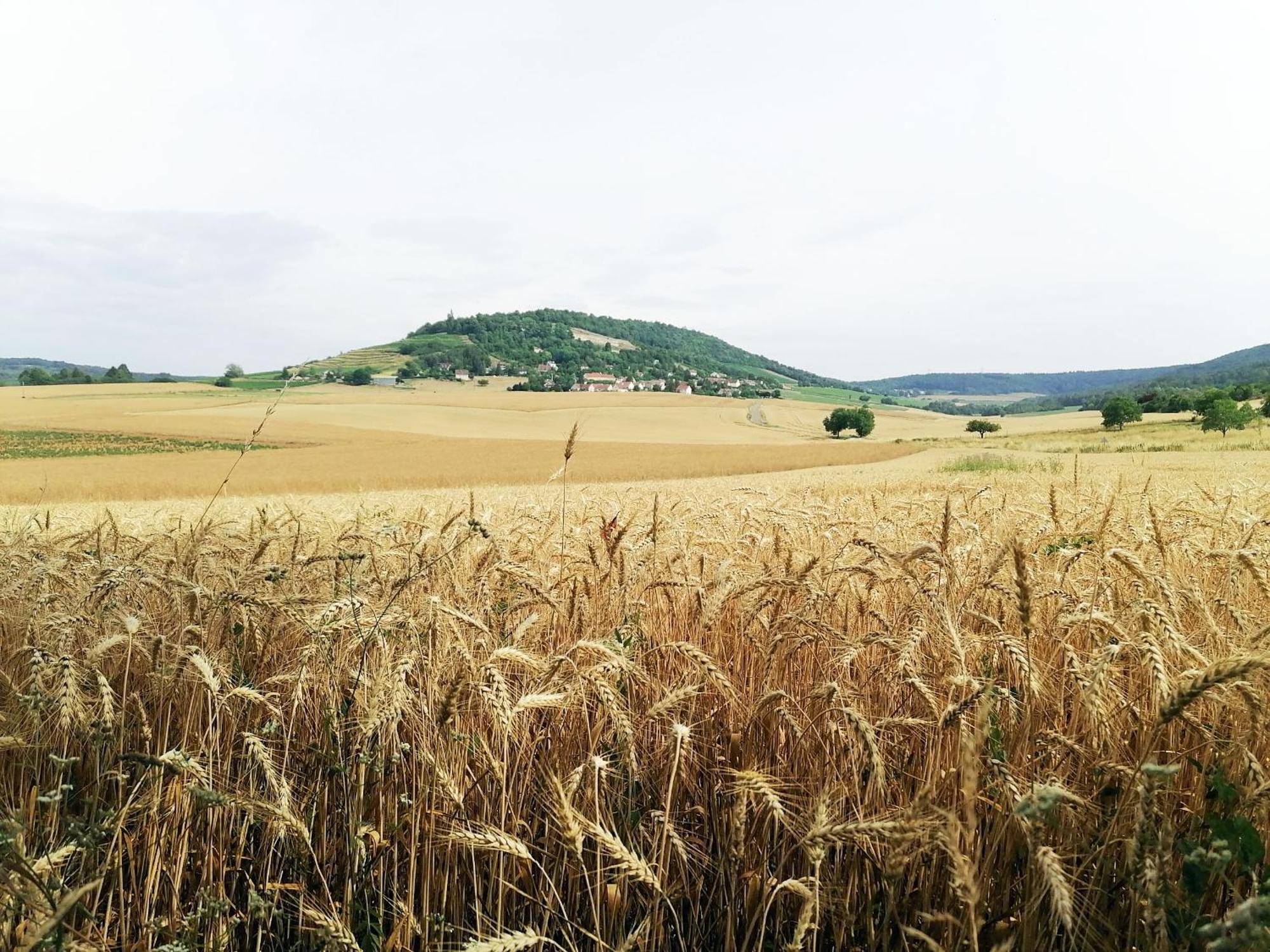 Gite Hautes Cotes De Nuits Curtil-Vergy Bagian luar foto