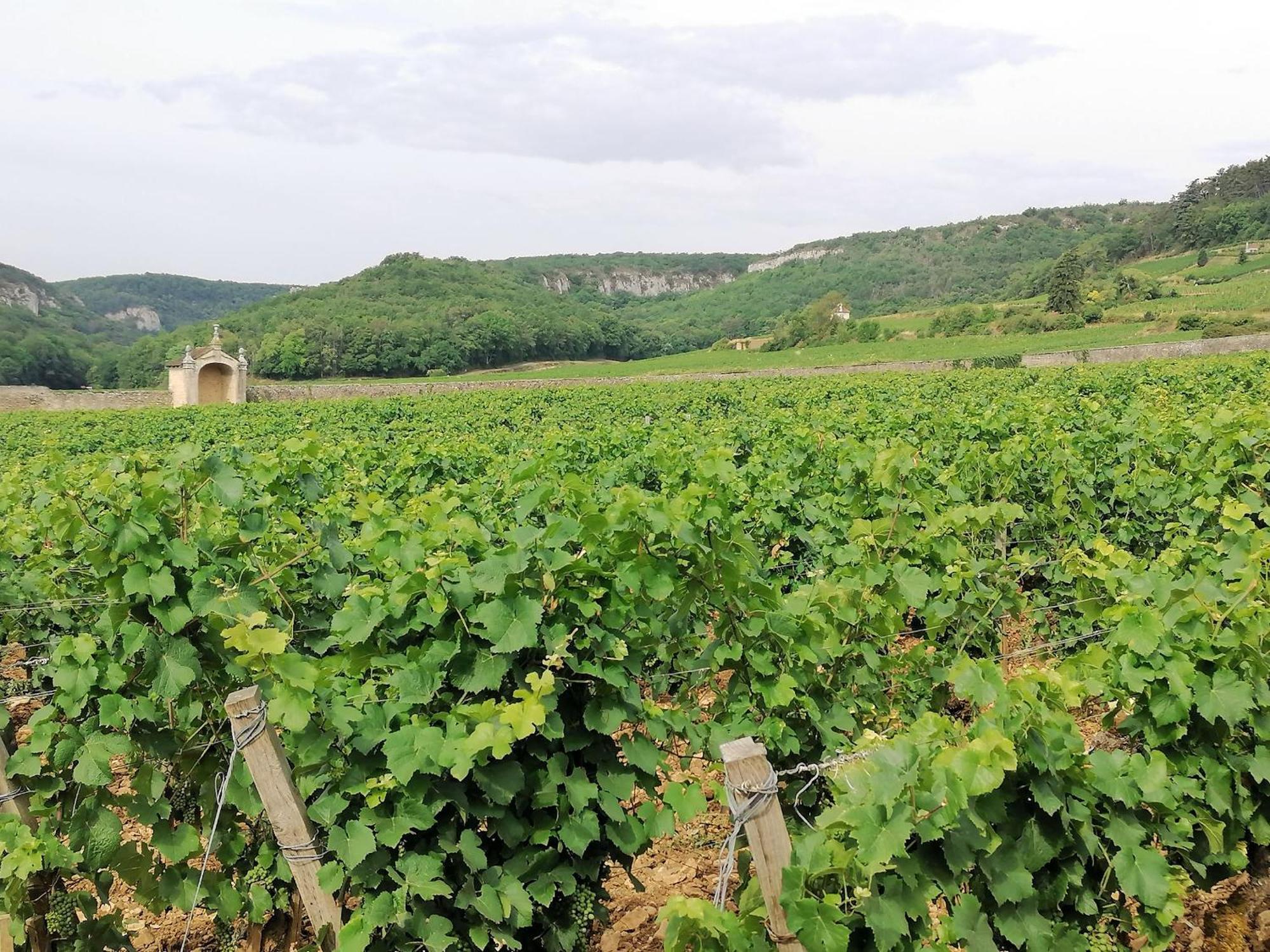Gite Hautes Cotes De Nuits Curtil-Vergy Bagian luar foto